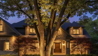 Tree uplighting design highlighting mature trees at night by Chop Chop Landscaping in Cherry Hill, NJ